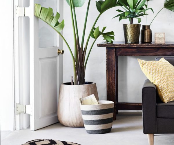 ما الذي تبحث عنه وكيف تعد له